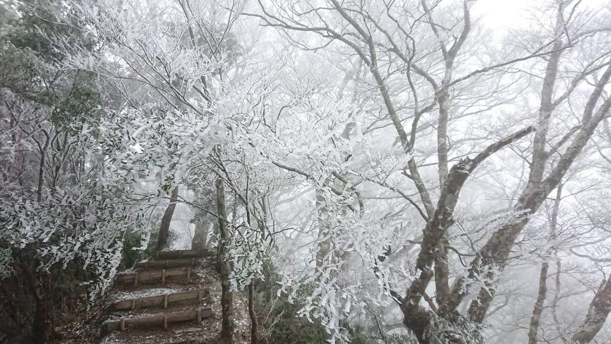 不用衝日本了!超美「台版藏王霧淞」宜蘭可拍,近1公里 「冰雪奇緣」真實版