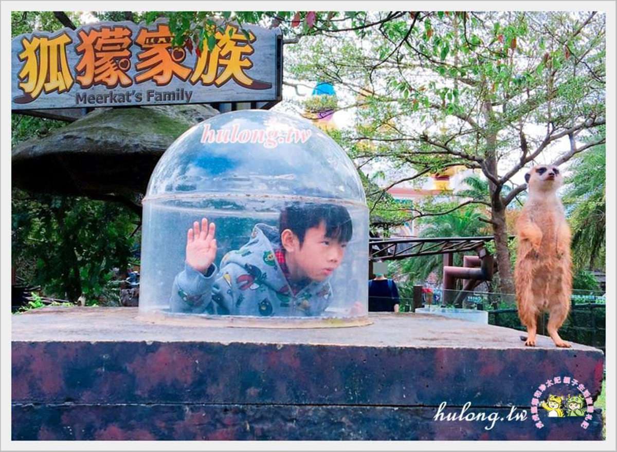 【全台遛小孩8路線】自然跑跳「全力放電」行程,花蓮海景帳篷下午茶、台東祕境看海、南投鳥居穿浴衣 【全台遛小孩8路線】自然跑跳「全力放電」行程,花蓮海景帳篷下午茶、台東祕境看海、南投鳥居穿浴衣
