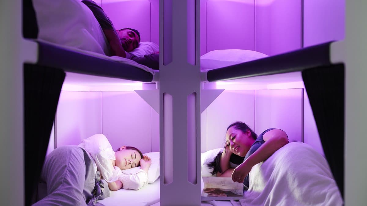 經濟艙也能爽躺!紐西蘭航空把「膠囊旅館」搬上機,還可獨享超私密空間