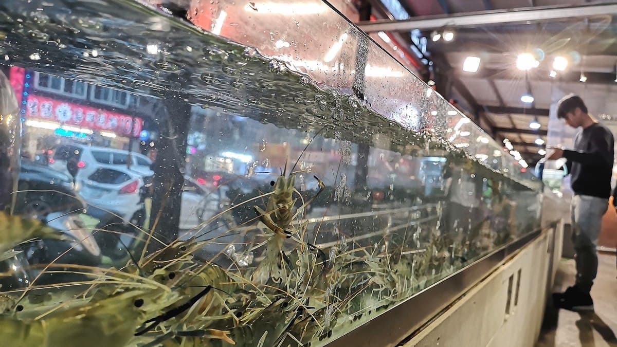 【新開店】快揪「部首有牛」的朋友！首家「流水蝦＋牛排」海陸吃到飽，加碼送龍蝦
