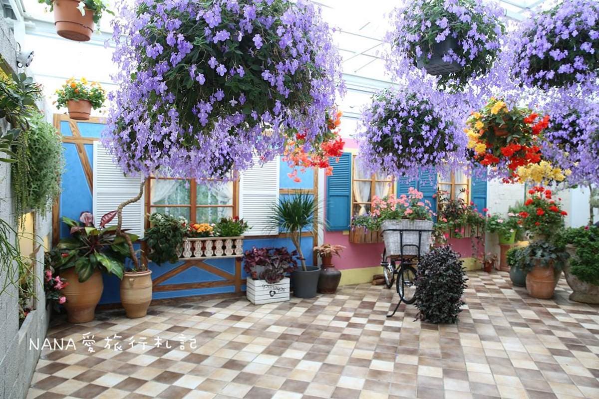 網美快衝！彰化４大花草系景點：仙人掌綠洲、歐風花園，順路逛三合院喝咖啡