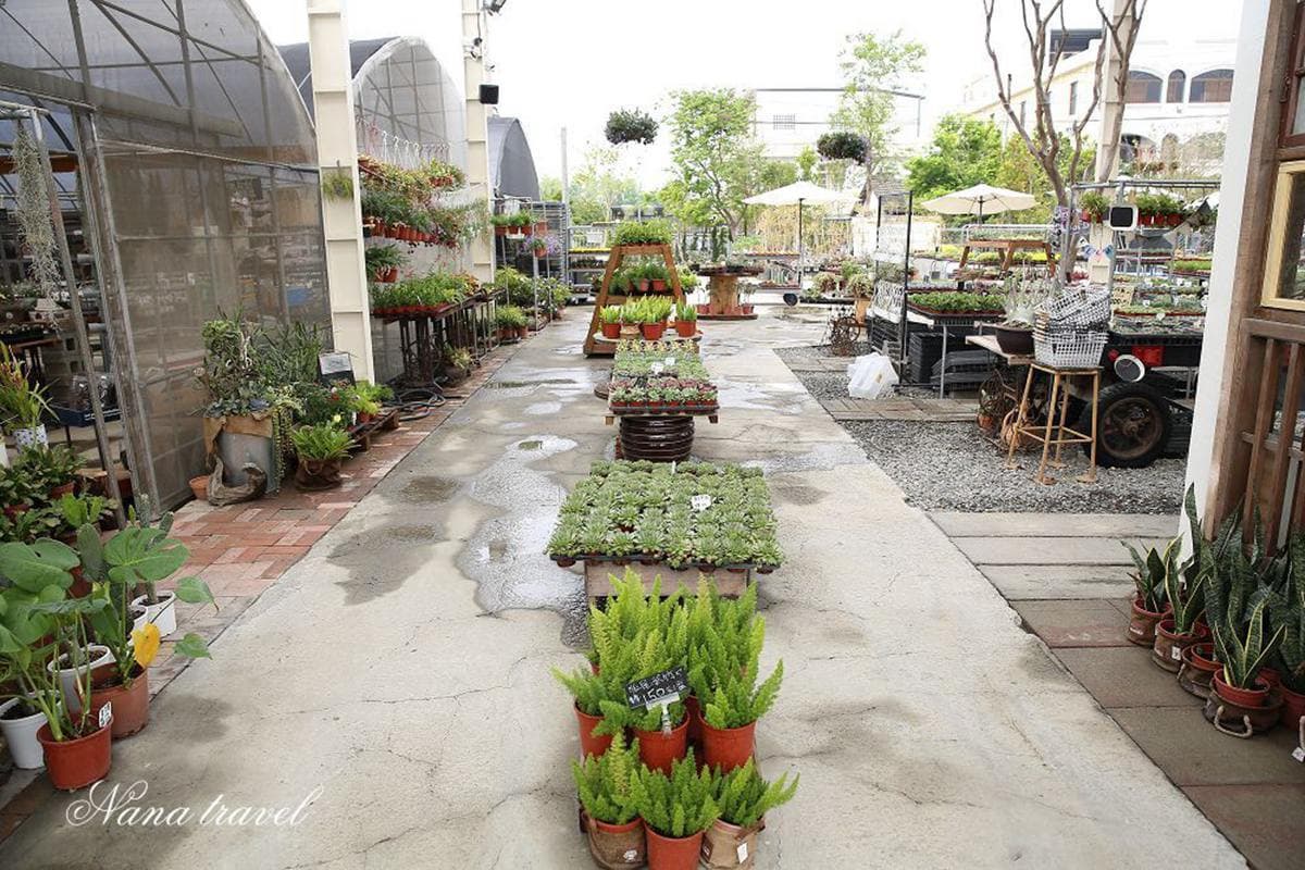 網美快衝！彰化４大花草系景點：仙人掌綠洲、歐風花園，順路逛三合院喝咖啡
