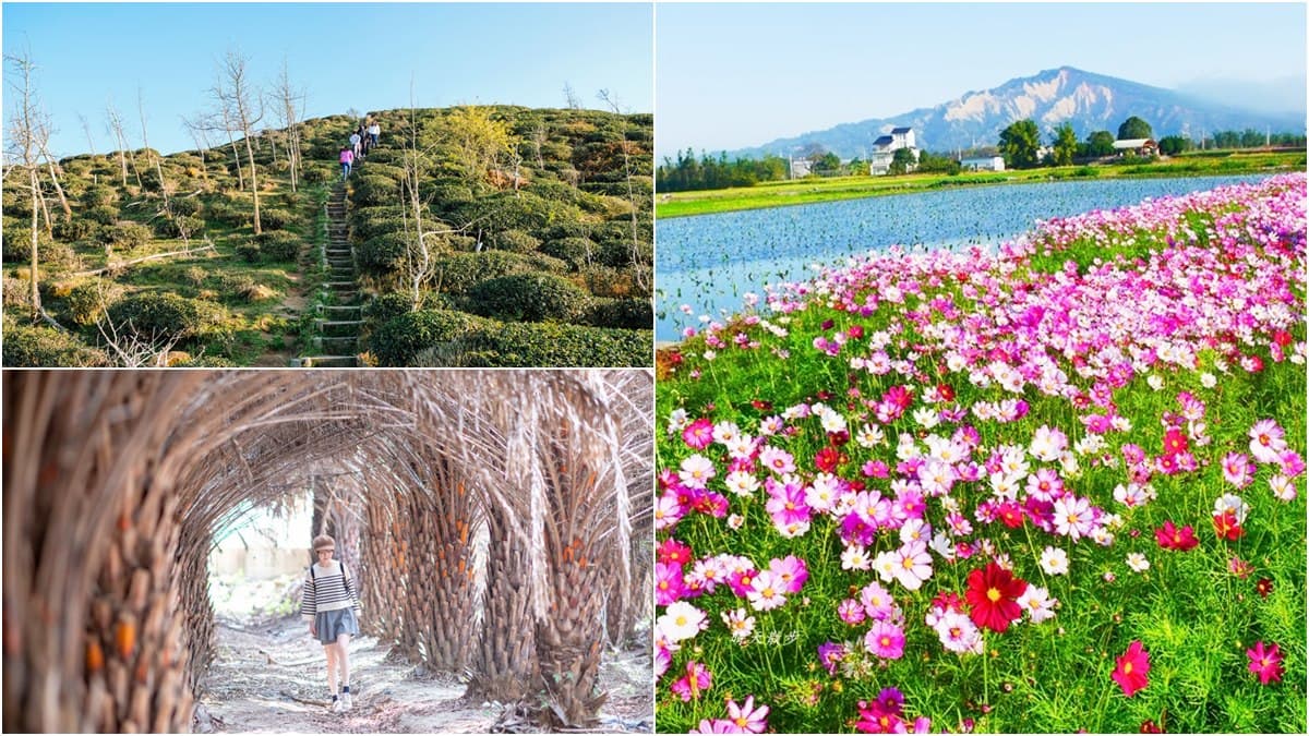 【全台28大綠色祕境】中台灣「異國系」景點6選：迷你富士山、巧克力色森林、千尋隧道