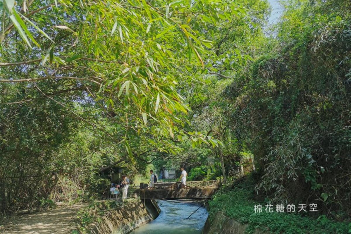 【全台28大綠色祕境】中台灣「異國系」景點6選:迷你富士山、巧克力色森林、千尋隧道 【全台28大綠色祕境】中台灣「異國系」景點6選:迷你富士山、巧克力色森林、千尋隧道