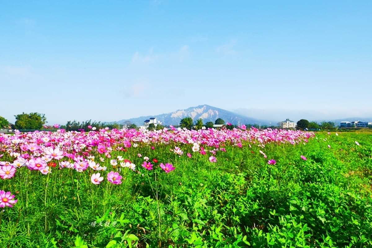 【全台28大綠色祕境】中台灣「異國系」景點6選:迷你富士山、巧克力色森林、千尋隧道 【全台28大綠色祕境】中台灣「異國系」景點6選:迷你富士山、巧克力色森林、千尋隧道