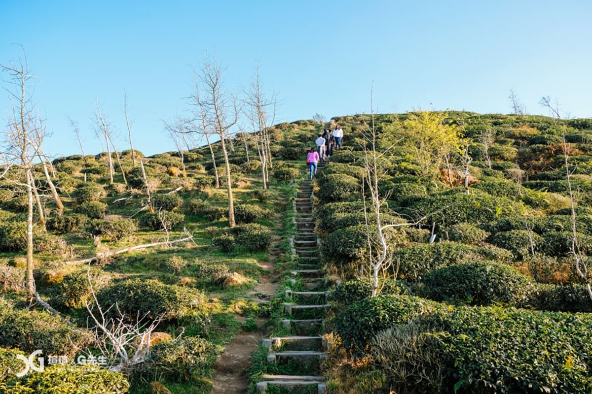 【全台28大綠色祕境】中台灣「異國系」景點6選:迷你富士山、巧克力色森林、千尋隧道 【全台28大綠色祕境】中台灣「異國系」景點6選:迷你富士山、巧克力色森林、千尋隧道