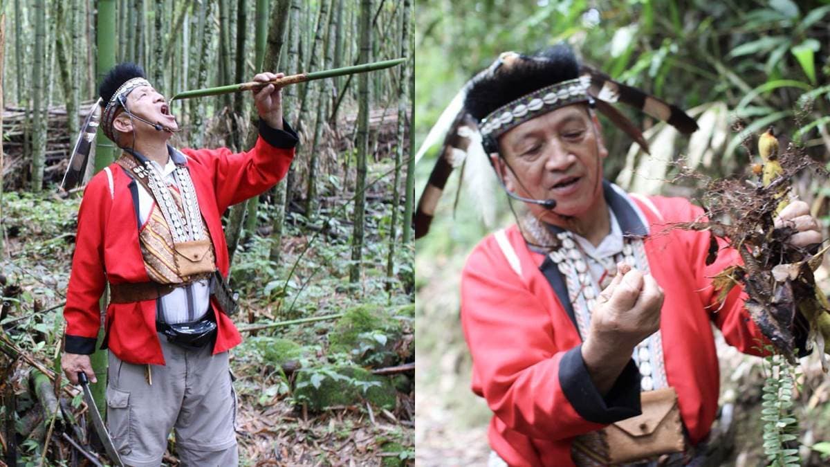 免費玩！嘉義美拍6景點：放大版「健達出奇蛋」、縮小版清境、台版江戶村