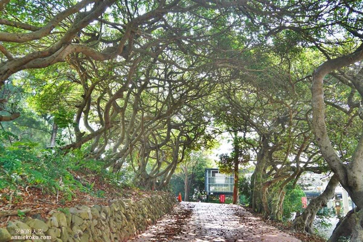 苗栗「通霄→苑裡」一日遊8打卡點:80年日治神社、漁港彩虹橋、石蚵藤壺海岸 苗栗「通霄→苑裡」一日遊8打卡點:80年日治神社、漁港彩虹橋、石蚵藤壺海岸