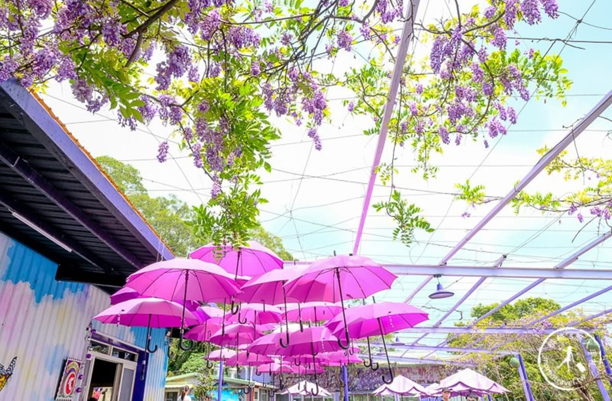 紫色控會愛!超繽紛園區必拍糖果小屋、紫藤花隧道,「雨傘大街」不用濾鏡就超美 紫色控會愛!超繽紛園區必拍糖果小屋、紫藤花隧道,「雨傘大街」不用濾鏡就超美