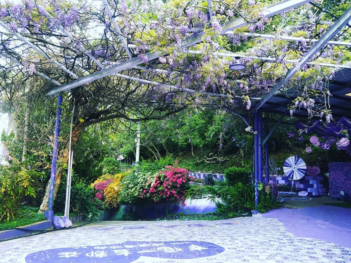 紫色控會愛!超繽紛園區必拍糖果小屋、紫藤花隧道,「雨傘大街」不用濾鏡就超美 紫色控會愛!超繽紛園區必拍糖果小屋、紫藤花隧道,「雨傘大街」不用濾鏡就超美