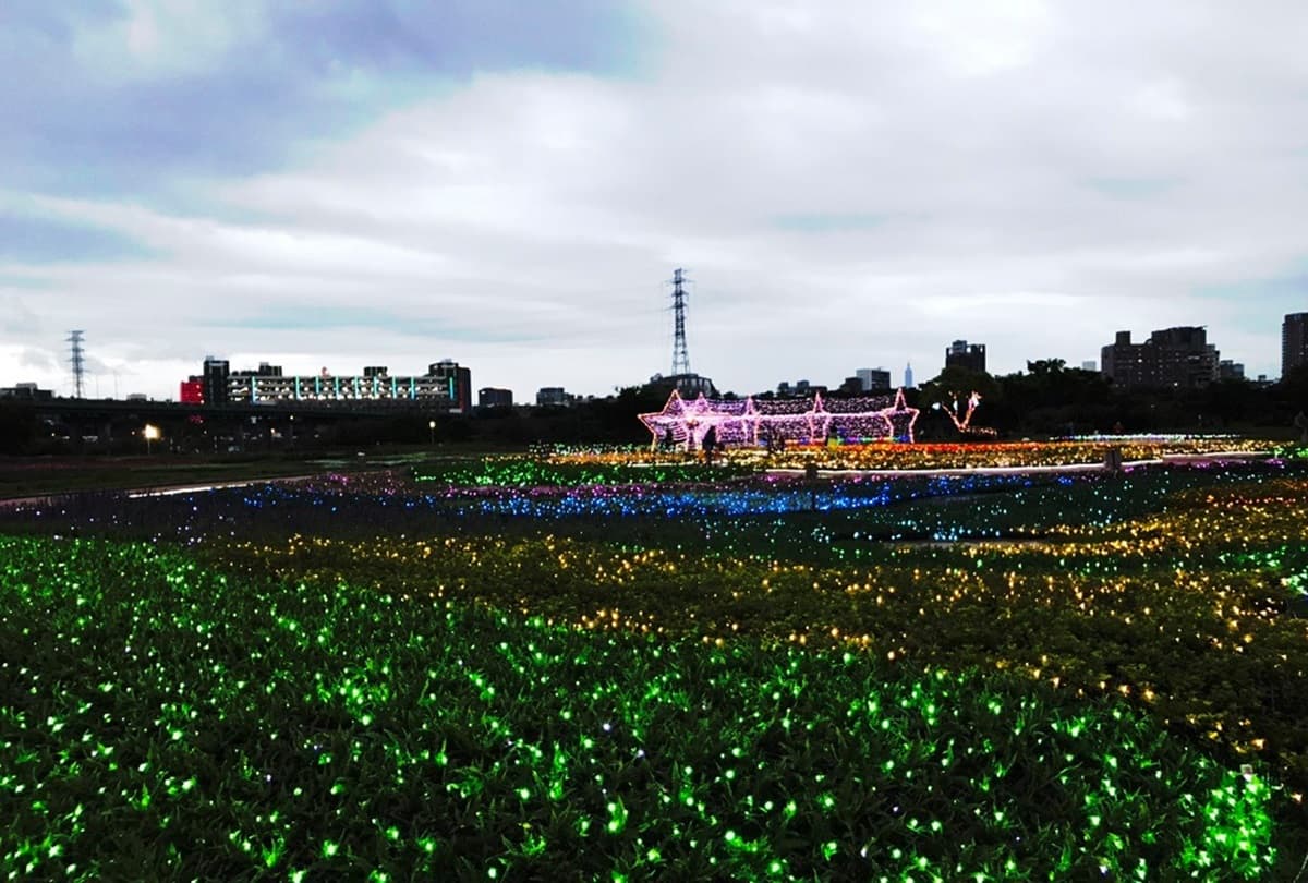 新北河濱蝶戀季4/11登場！6大主題區打造「樂園級花海」，百萬顆星星燈入夜超奇幻
