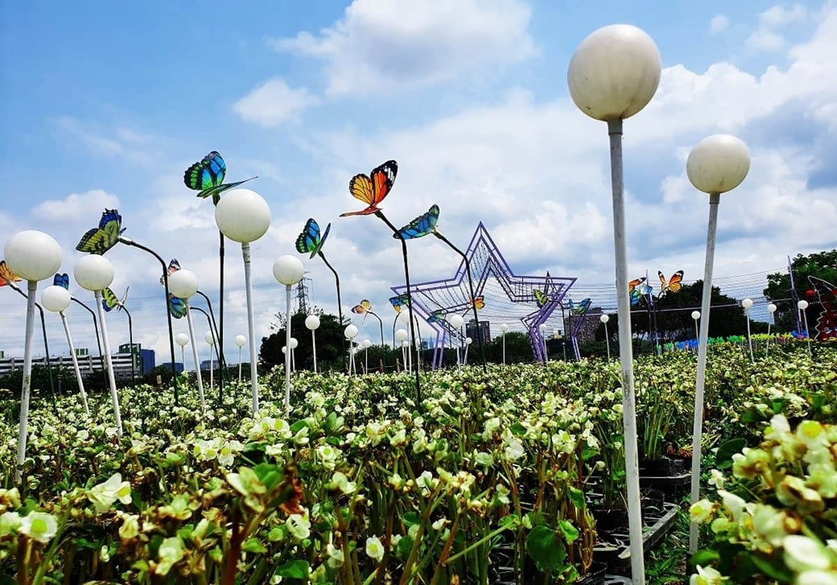 新北河濱蝶戀季4/11登場！6大主題區打造「樂園級花海」，百萬顆星星燈入夜超奇幻