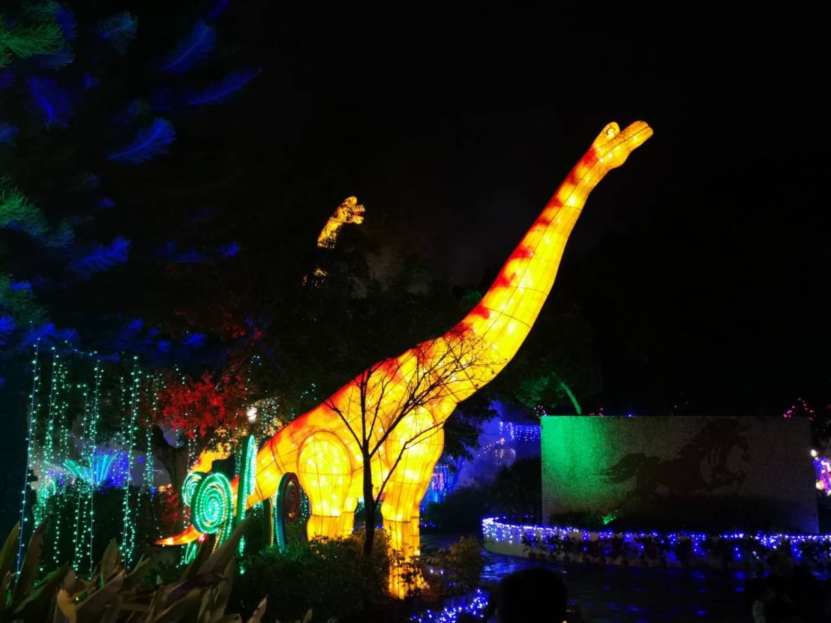 夜間動物園在台中！「動物狂歡嘉年華」燈會安可場，把握這一個半月