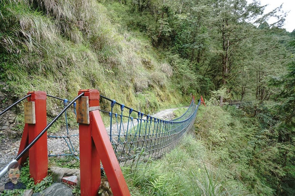 【全台15座絕美吊橋】安全距離小旅行！俯瞰36彎公路、摩天輪，「吊橋上的台灣」原來這麼美