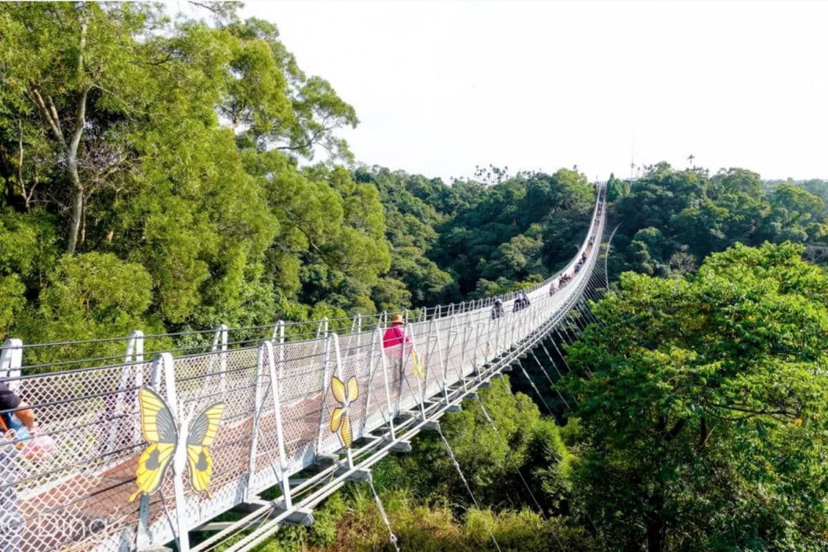 【全台15座絕美吊橋】北中台灣8條秘境吊橋:平溪觀瀑吊橋、雙龍瀑布彩虹吊橋 【全台15座絕美吊橋】北中台灣8條秘境吊橋:平溪觀瀑吊橋、雙龍瀑布彩虹吊橋