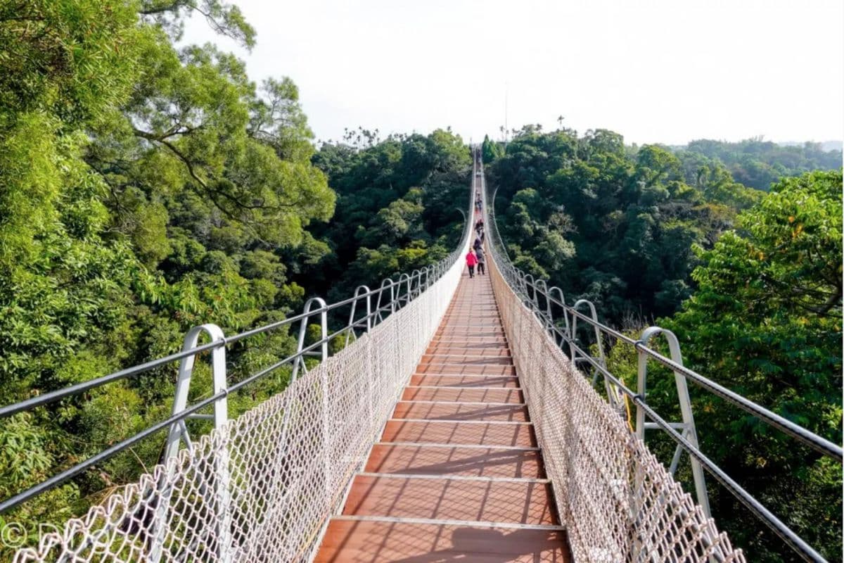 【全台15座絕美吊橋】北中台灣8條秘境吊橋:平溪觀瀑吊橋、雙龍瀑布彩虹吊橋 【全台15座絕美吊橋】北中台灣8條秘境吊橋:平溪觀瀑吊橋、雙龍瀑布彩虹吊橋