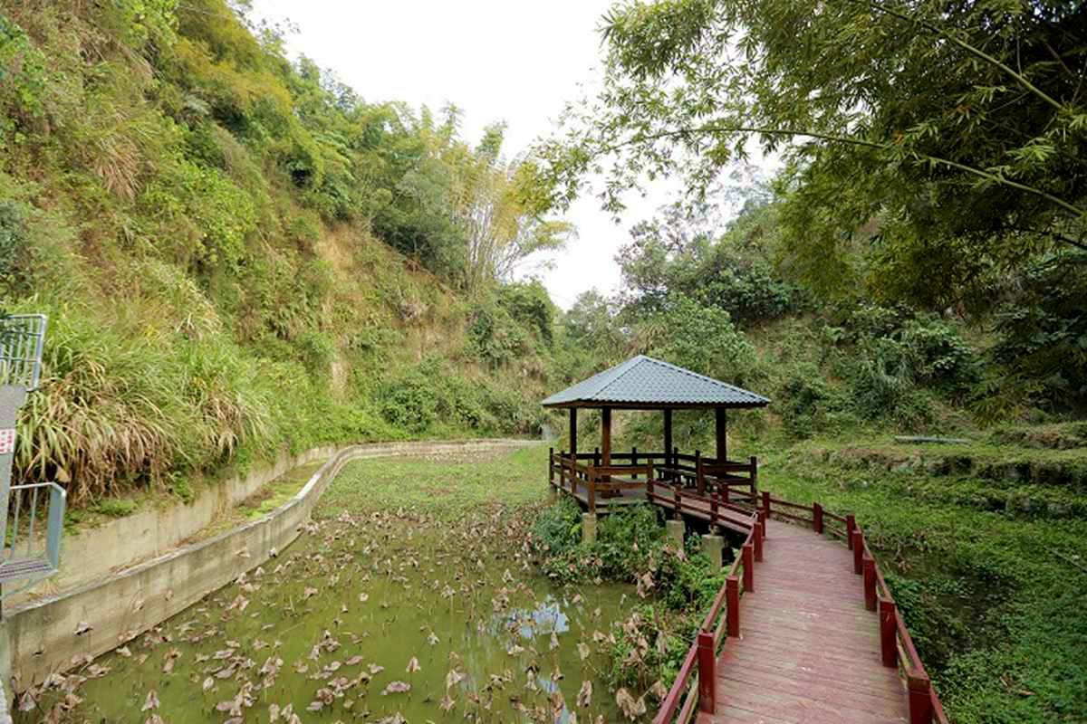 台南也可以這樣玩！10條親子步道輕鬆走，祕境森林拍網美照、賞月牙海灣
