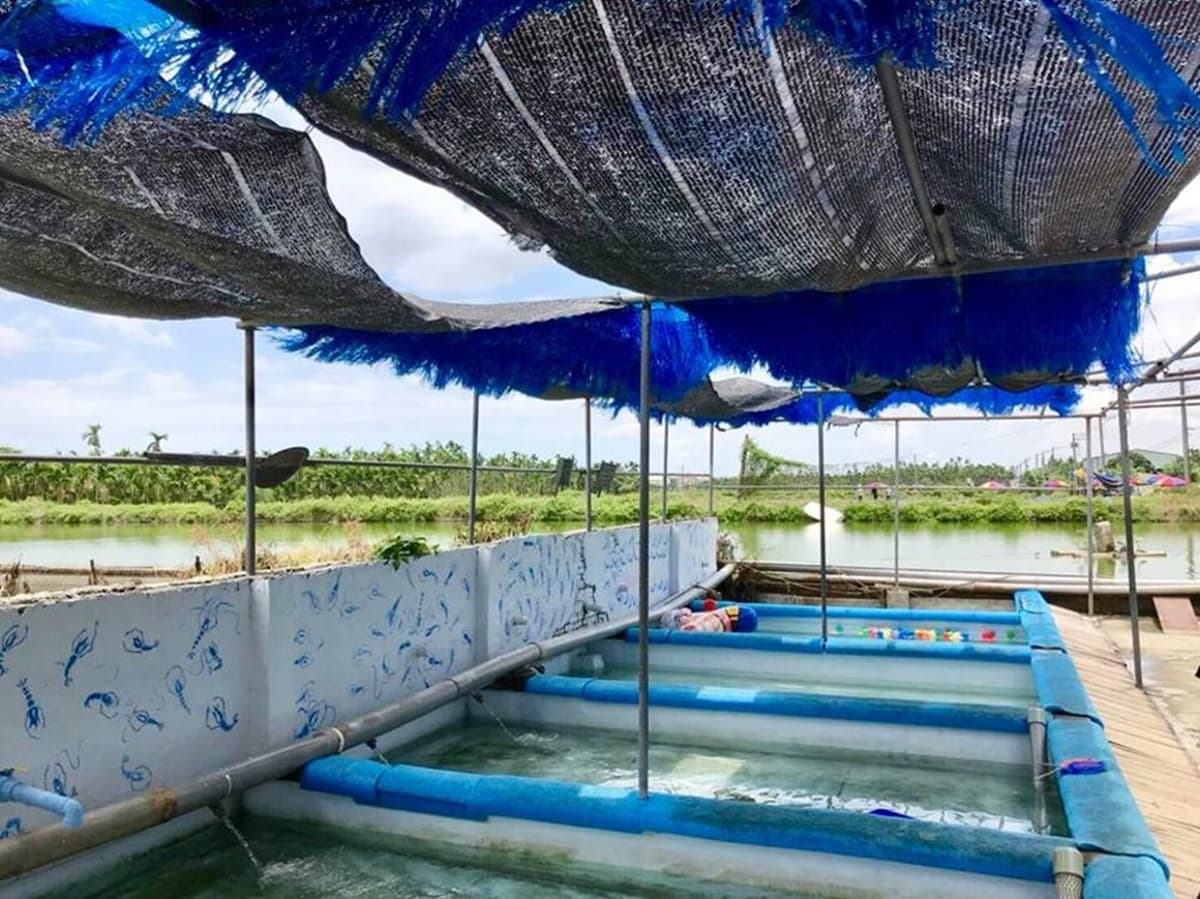 338714親子戲水5行程：海神宮撈魚、水圳玩漂漂河，順吃黃金無毒蝦、行動滷肉飯