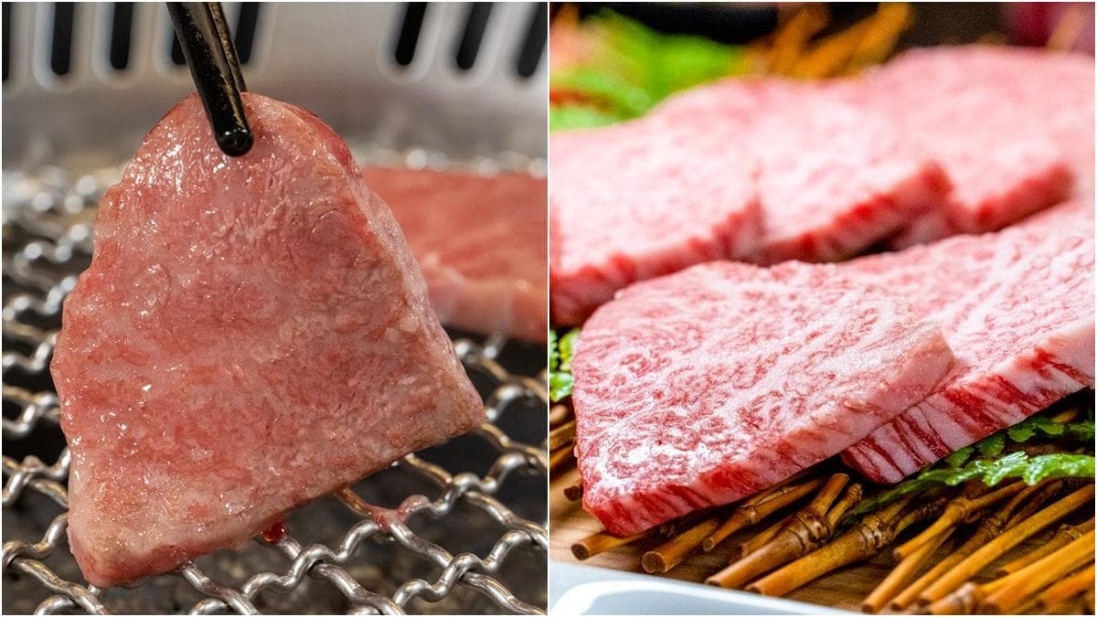 呼叫「佳、玲」免費吃日本和牛囉！「5、2、0」中兩碼也可以