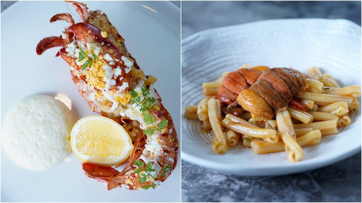 500元便當算什麼！高檔「流淚美食」鵝肝松露牛排、海膽義大利麵外帶回家吃