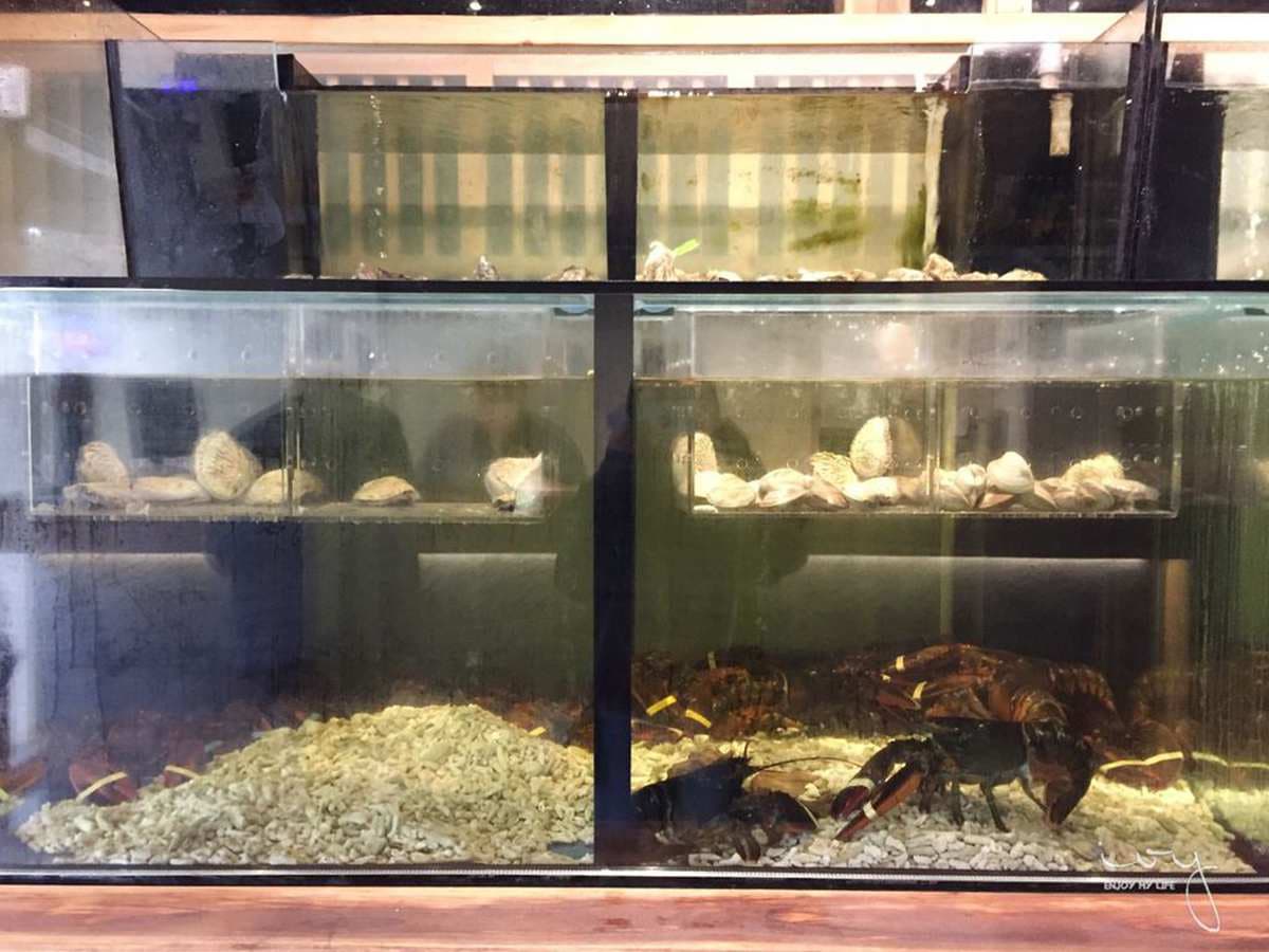 節慶大餐首選！台中6間超講究燒烤：主廚獨門醬、道地囲炉裏、七仙女拼盤