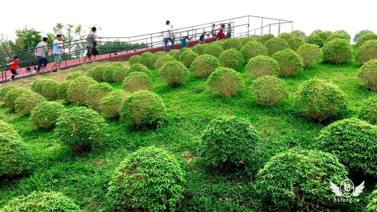 嘉義親子免費新景點!魔毯溜滑梯小孩愛,台版波波草庭園超好拍 嘉義親子免費新景點!魔毯溜滑梯小孩愛,台版波波草庭園超好拍