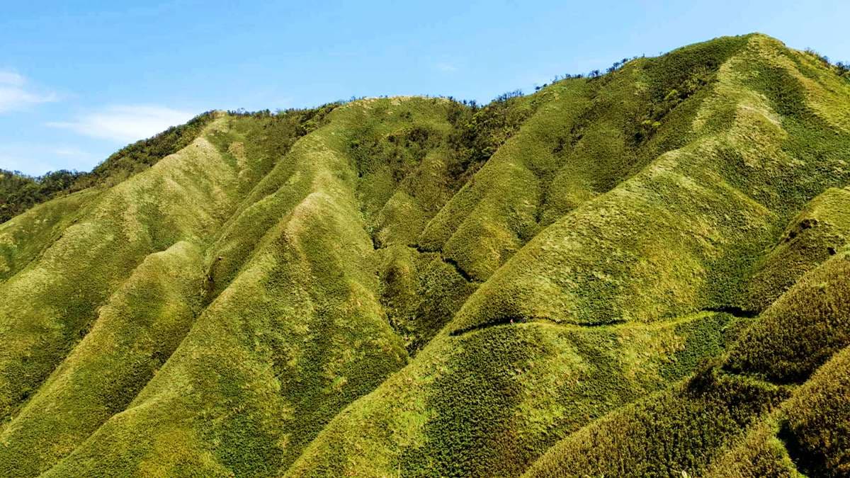 網美們你確定要爬「抹茶山」?和小林賢伍一起賞抹茶冰淇淋,發現4個真相 網美們你確定要爬「抹茶山」?和小林賢伍一起賞抹茶冰淇淋,發現4個真相