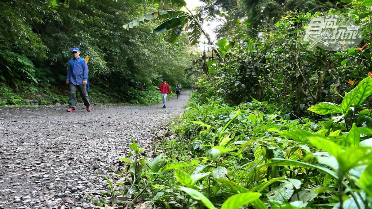 網美們你確定要爬「抹茶山」?和小林賢伍一起賞抹茶冰淇淋,發現4個真相 網美們你確定要爬「抹茶山」?和小林賢伍一起賞抹茶冰淇淋,發現4個真相