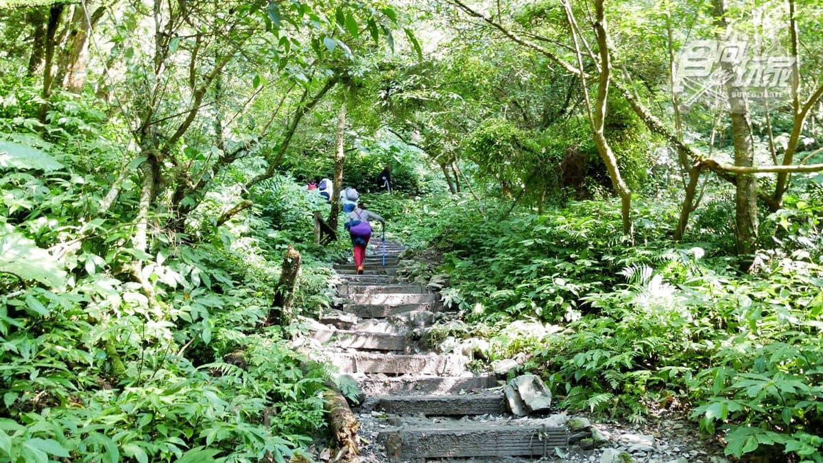 網美們你確定要爬「抹茶山」?和小林賢伍一起賞抹茶冰淇淋,發現4個真相 網美們你確定要爬「抹茶山」?和小林賢伍一起賞抹茶冰淇淋,發現4個真相
