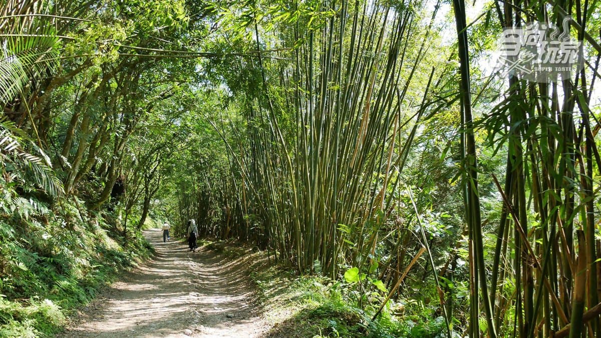 網美們你確定要爬「抹茶山」?和小林賢伍一起賞抹茶冰淇淋,發現4個真相 網美們你確定要爬「抹茶山」?和小林賢伍一起賞抹茶冰淇淋,發現4個真相