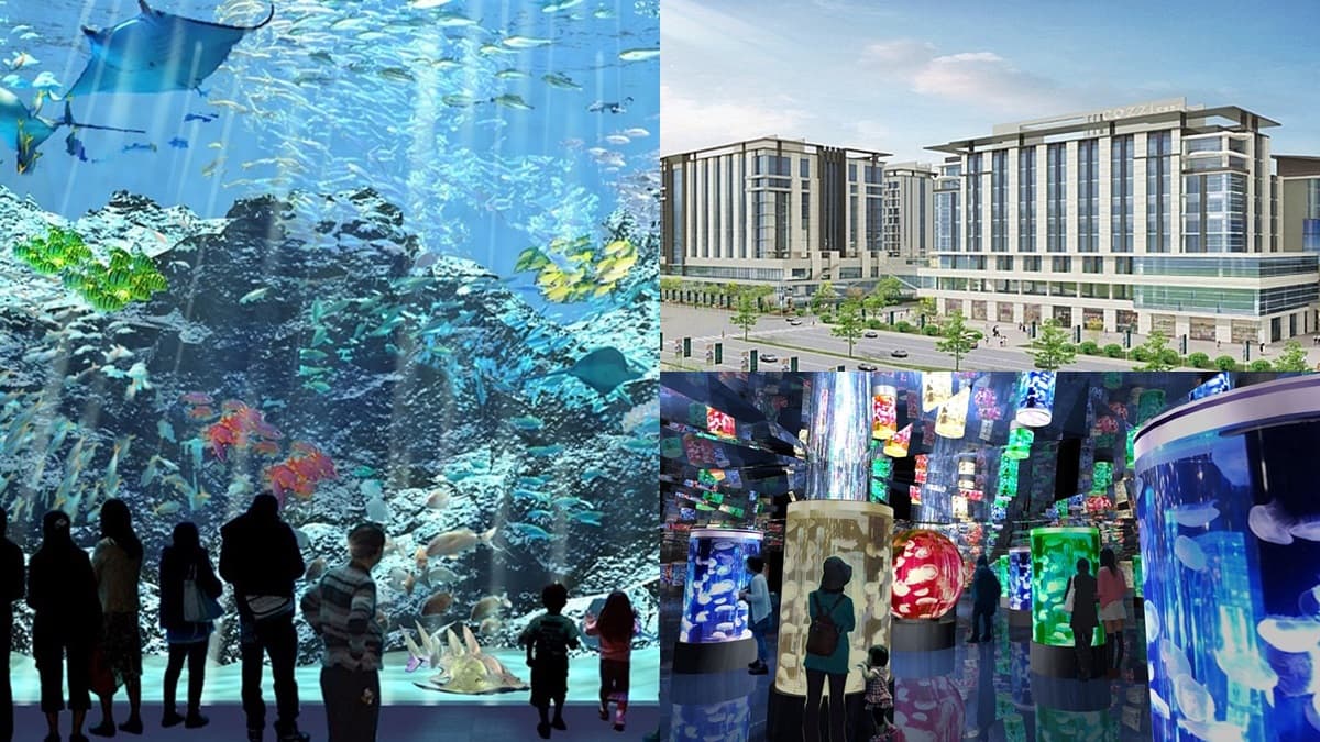 全台最大「水族館園區」這時開幕！4層樓高「海底總動員」，還能夜宿躺著看