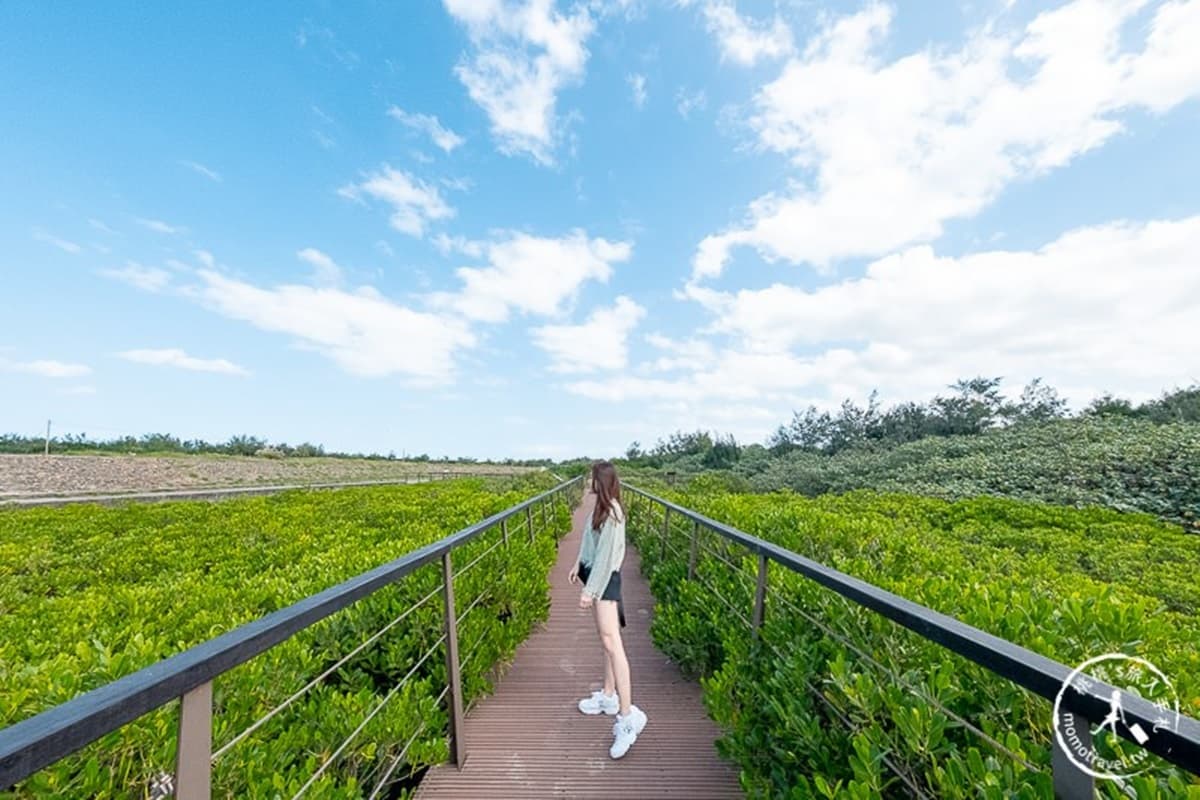 拍不膩！桃園海線3處絕美大景打卡點：台版撒哈拉沙漠、百年日治燈塔