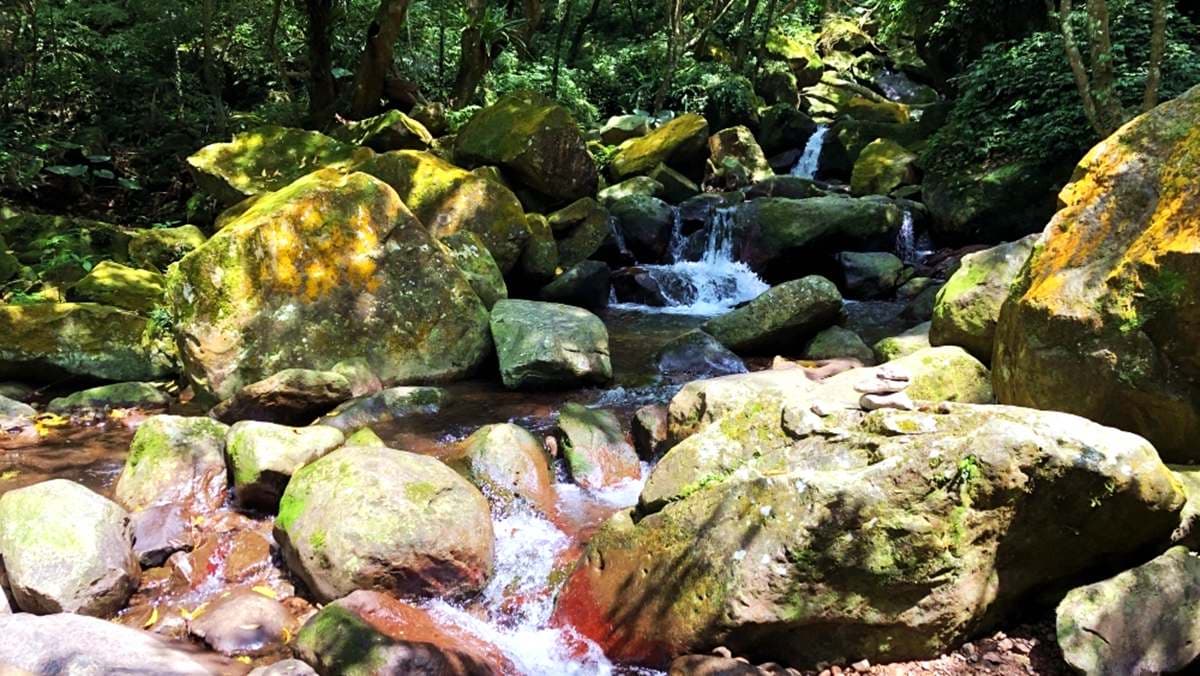 新北消暑美拍祕境！台版「奧入瀨溪流」青山瀑布步道輕鬆好走
