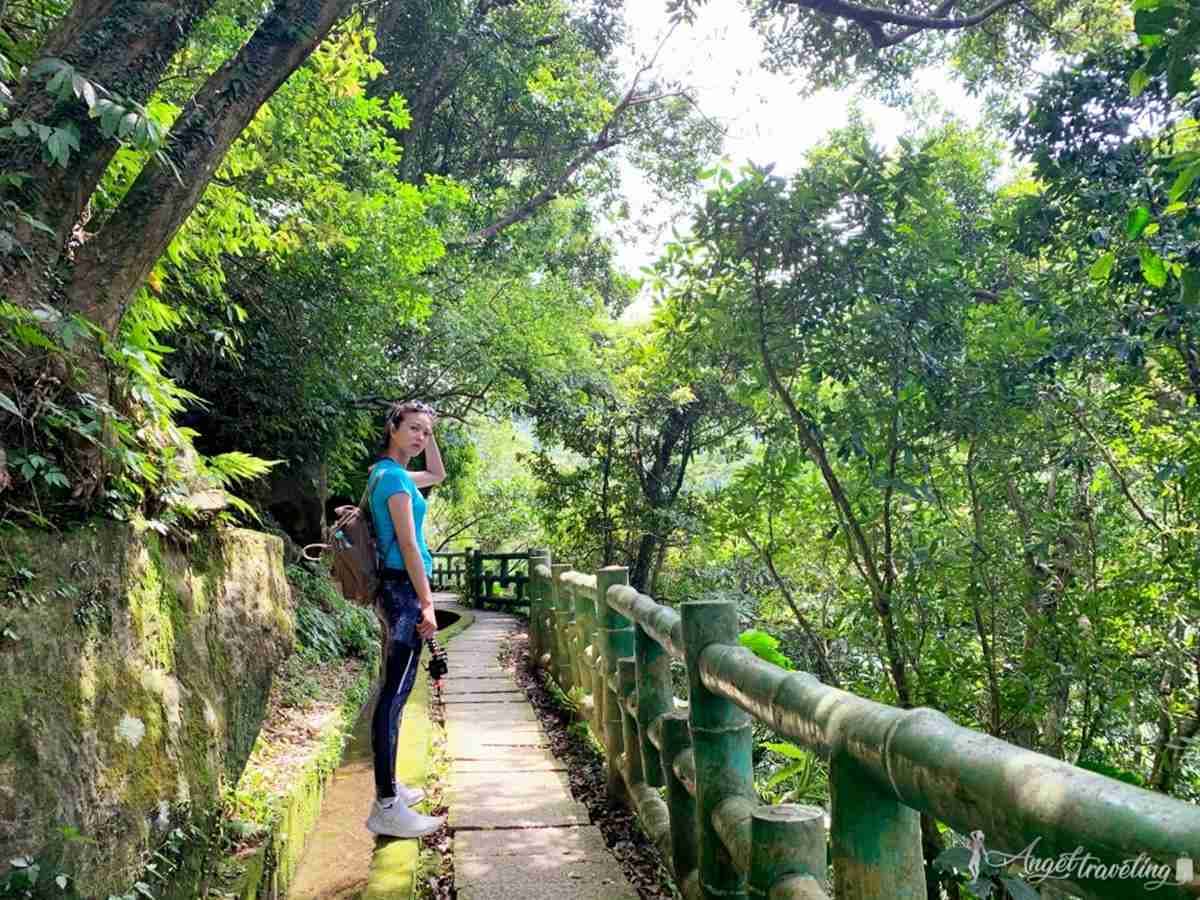 新北消暑美拍祕境！台版「奧入瀨溪流」青山瀑布步道輕鬆好走