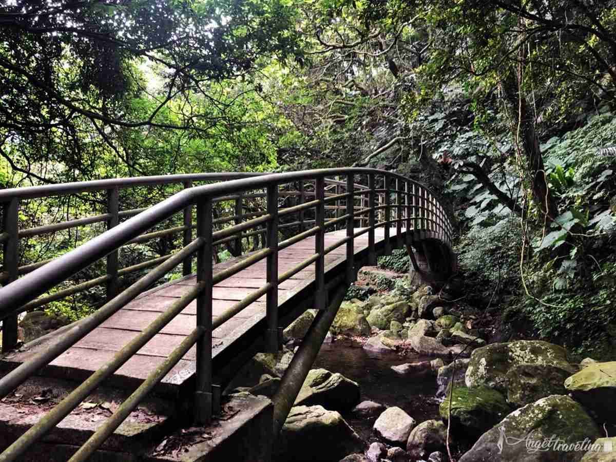 新北消暑美拍祕境！台版「奧入瀨溪流」青山瀑布步道輕鬆好走
