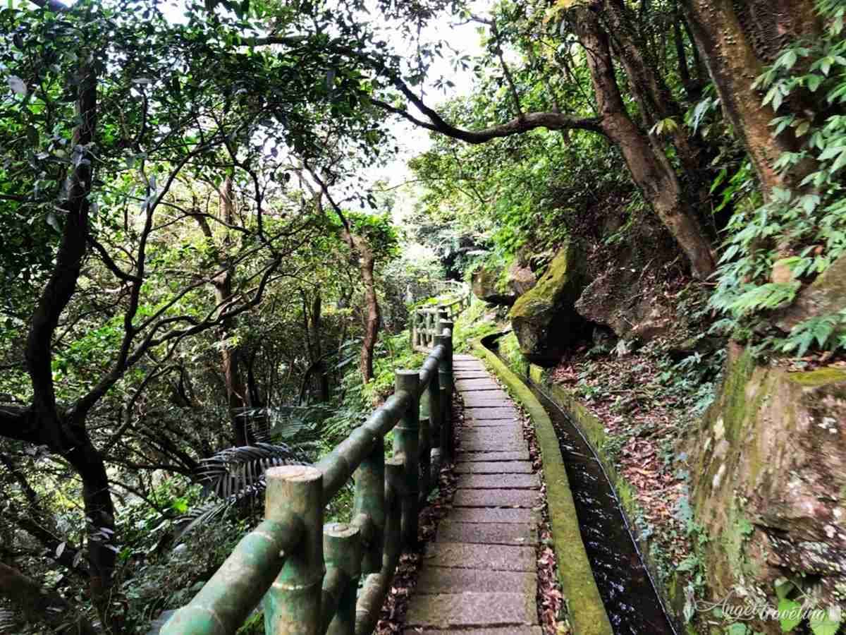 新北消暑美拍祕境！台版「奧入瀨溪流」青山瀑布步道輕鬆好走