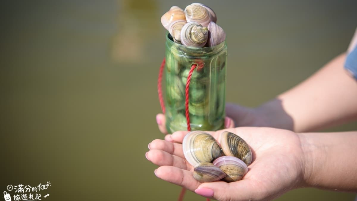 免門票玩拍海盜村!嘉義隱藏版打卡點,划船遊湖美拍還能體驗文蛤現摸現烤 免門票玩拍海盜村!嘉義隱藏版打卡點,划船遊湖美拍還能體驗文蛤現摸現烤