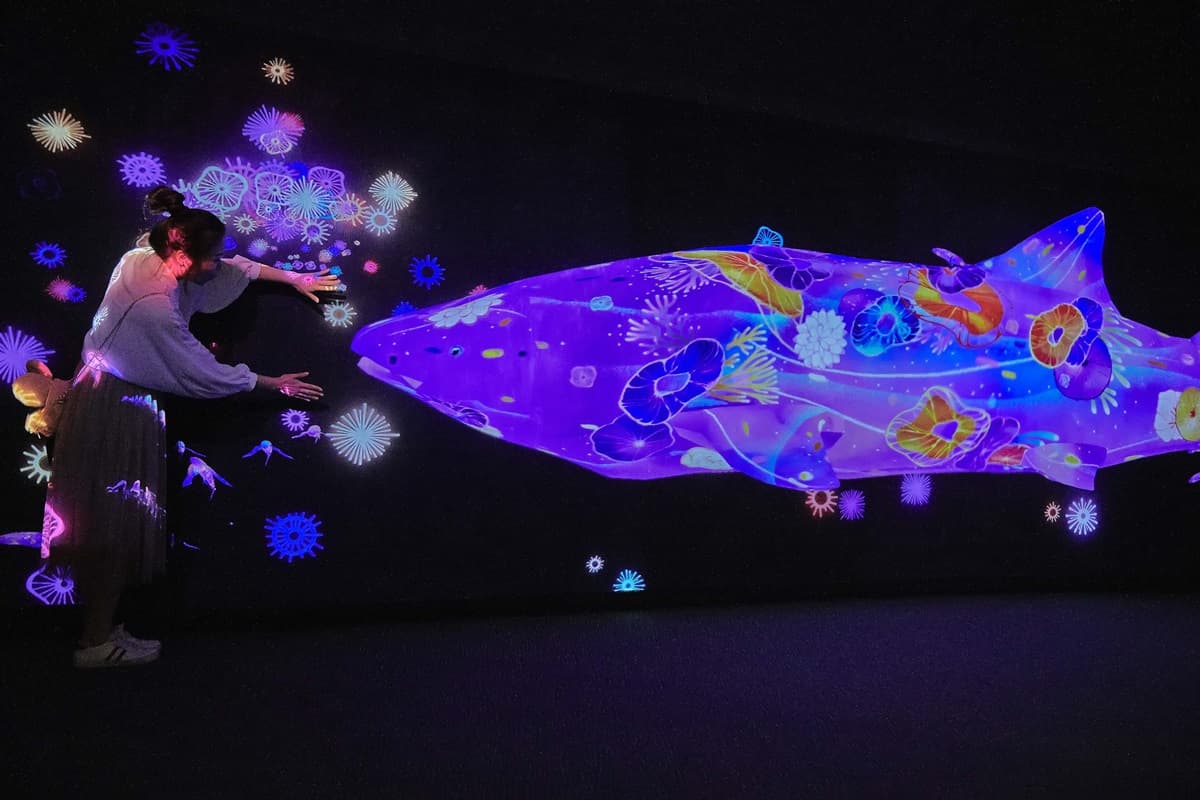 身分證有G、U、V注意！遠雄海洋公園「不限次數」699元爽玩到9月底，加碼3大新設施