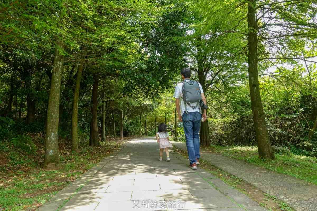 【全台親子步道17選】北台灣幼幼級「0難度」6步道,賞無敵海景、清涼瀑布,30分鐘至1小時來回 【全台親子步道17選】北台灣幼幼級「0難度」6步道,賞無敵海景、清涼瀑布,30分鐘至1小時來回