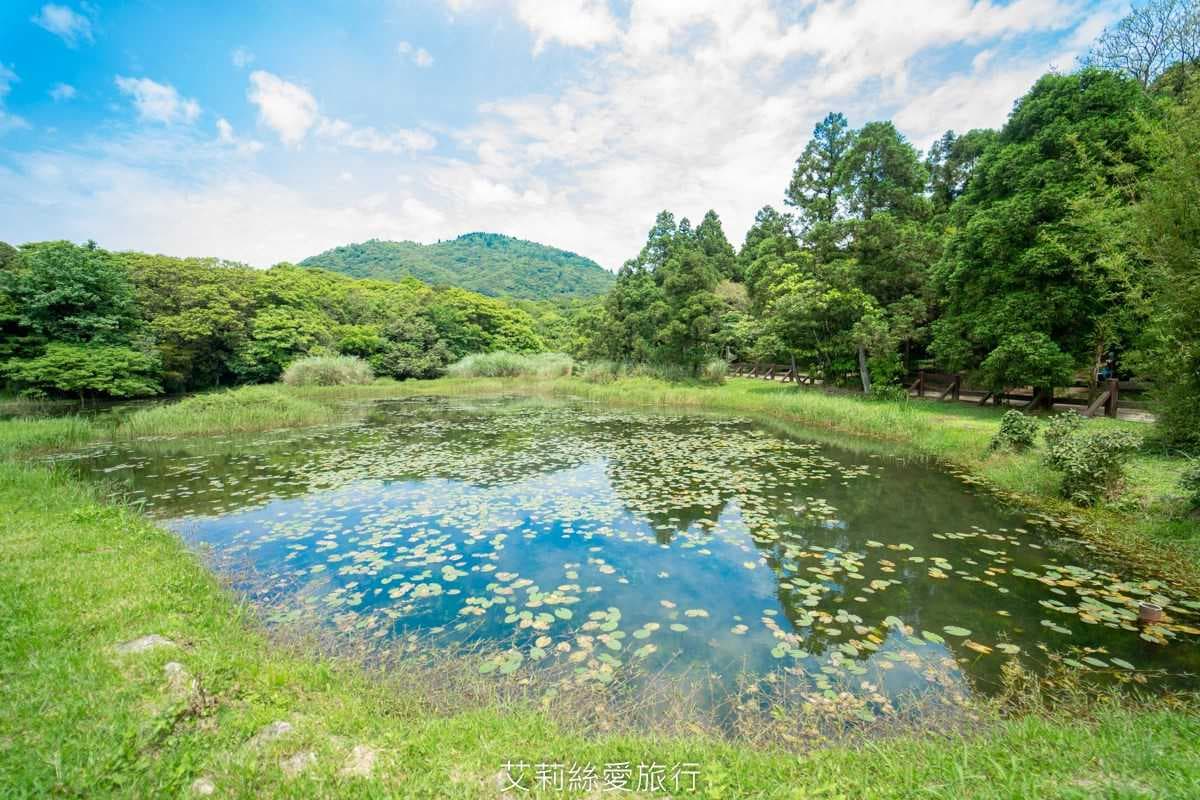 【全台親子步道17選】北台灣幼幼級「0難度」6步道,賞無敵海景、清涼瀑布,30分鐘至1小時來回 【全台親子步道17選】北台灣幼幼級「0難度」6步道,賞無敵海景、清涼瀑布,30分鐘至1小時來回