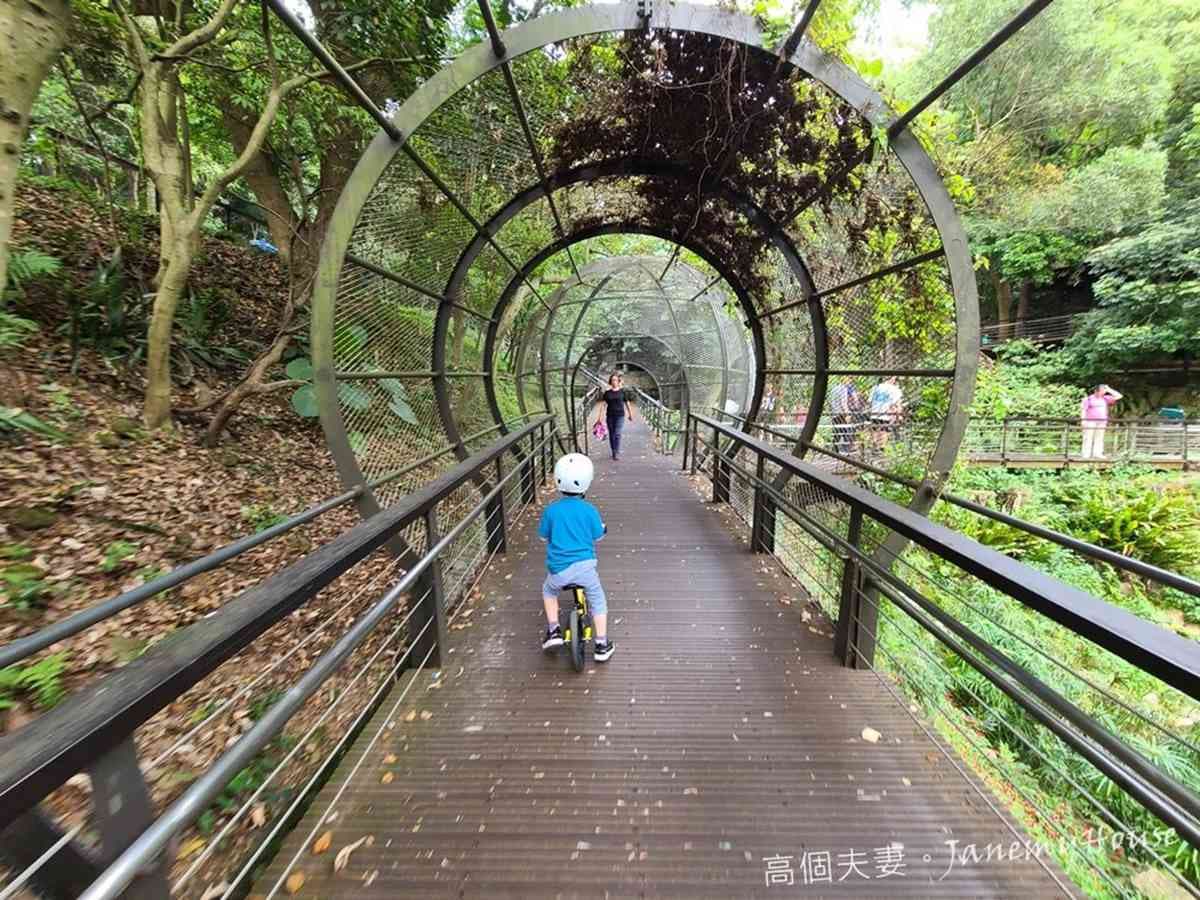 【全台親子步道17選】北台灣幼幼級「0難度」6步道,賞無敵海景、清涼瀑布,30分鐘至1小時來回 【全台親子步道17選】北台灣幼幼級「0難度」6步道,賞無敵海景、清涼瀑布,30分鐘至1小時來回