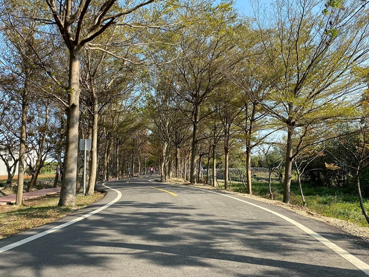 懶人出遊首選！台鐵「郵輪式列車」行程吃、住、交通全包，3大金針花勝地、夜宿海生館都衝了