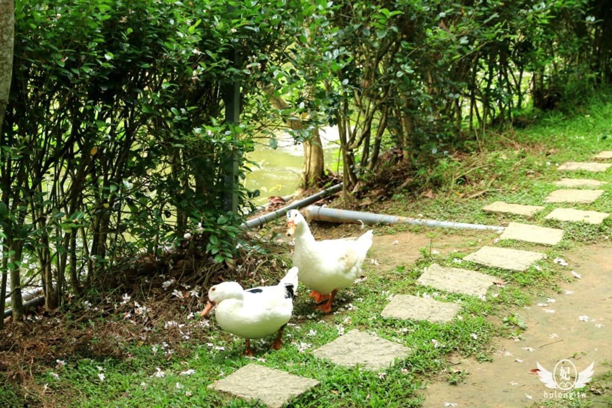 【全台親子步道17選】看飛機、找蝴蝶、水池餵魚趣,玩樂系6親山步道,拜訪神木最涼爽 【全台親子步道17選】看飛機、找蝴蝶、水池餵魚趣,玩樂系6親山步道,拜訪神木最涼爽