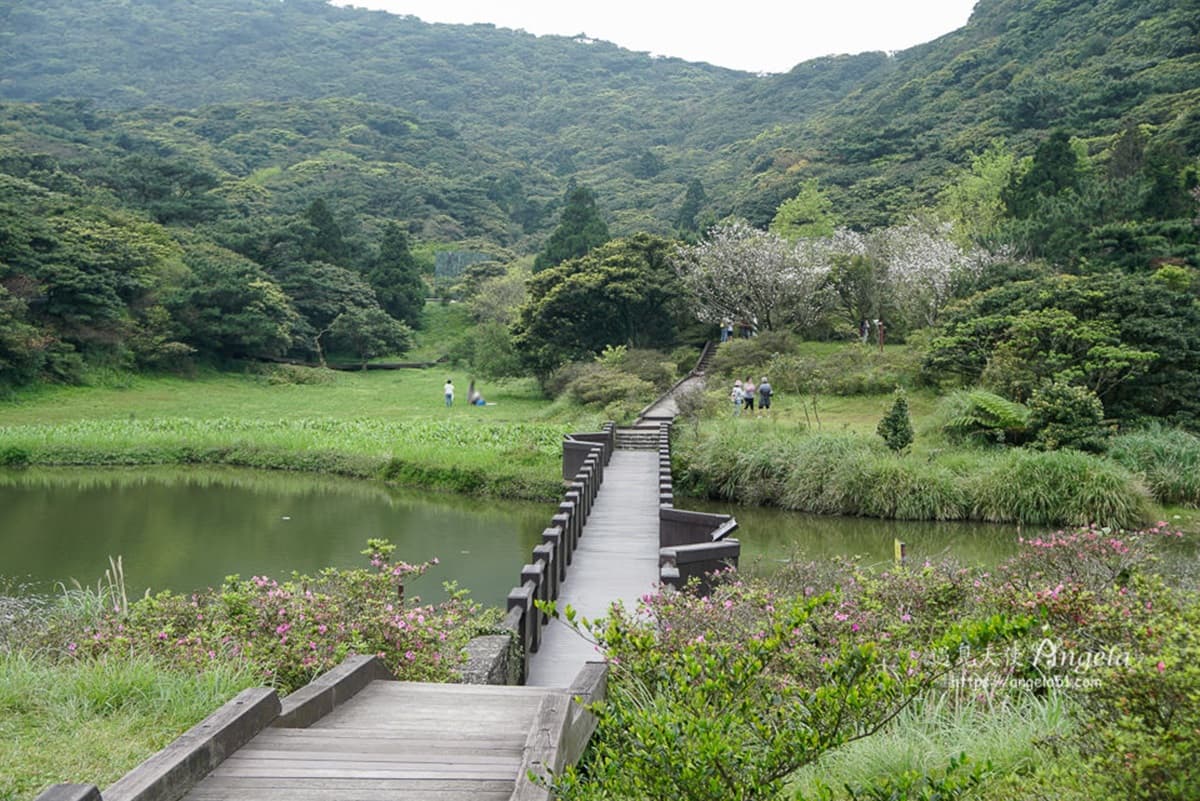 【全台親子步道17選】看飛機、找蝴蝶、水池餵魚趣,玩樂系6親山步道,拜訪神木最涼爽 【全台親子步道17選】看飛機、找蝴蝶、水池餵魚趣,玩樂系6親山步道,拜訪神木最涼爽