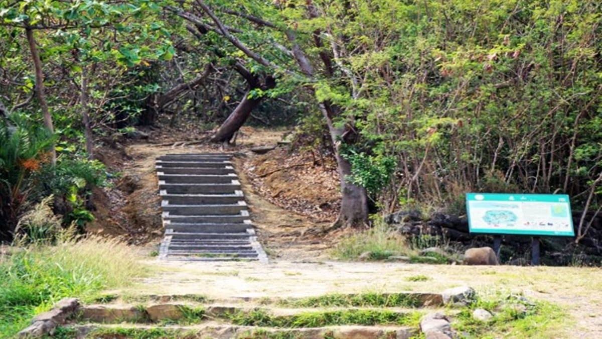 好走不累！全台17條美景親子步道：森林祕境、無敵海景、清涼瀑布全收錄