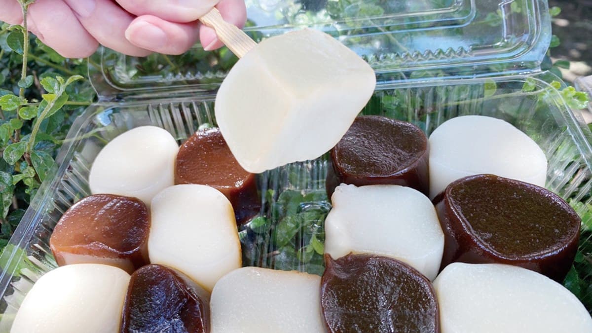 吃起來！台南「干貝麻糬」、新竹「春上布丁蛋糕」北上，爆紅美食一次網羅
