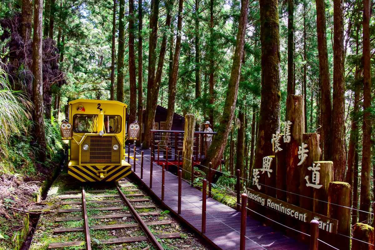 太平山蹦蹦車回來了！相隔半年7/10全線通車，不想排隊要挑「這時間」去