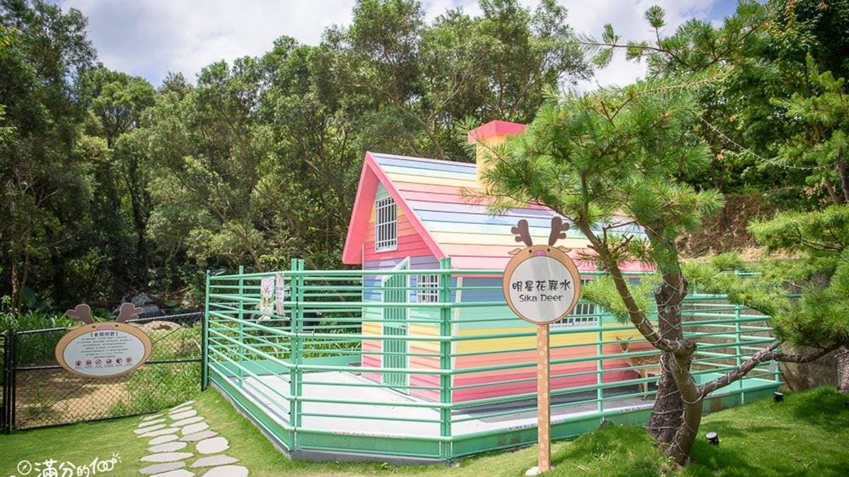 親子打卡必訪！新竹美拍餐廳有超古錐玩偶陪你用餐，還能到繽紛彩虹屋餵小鹿