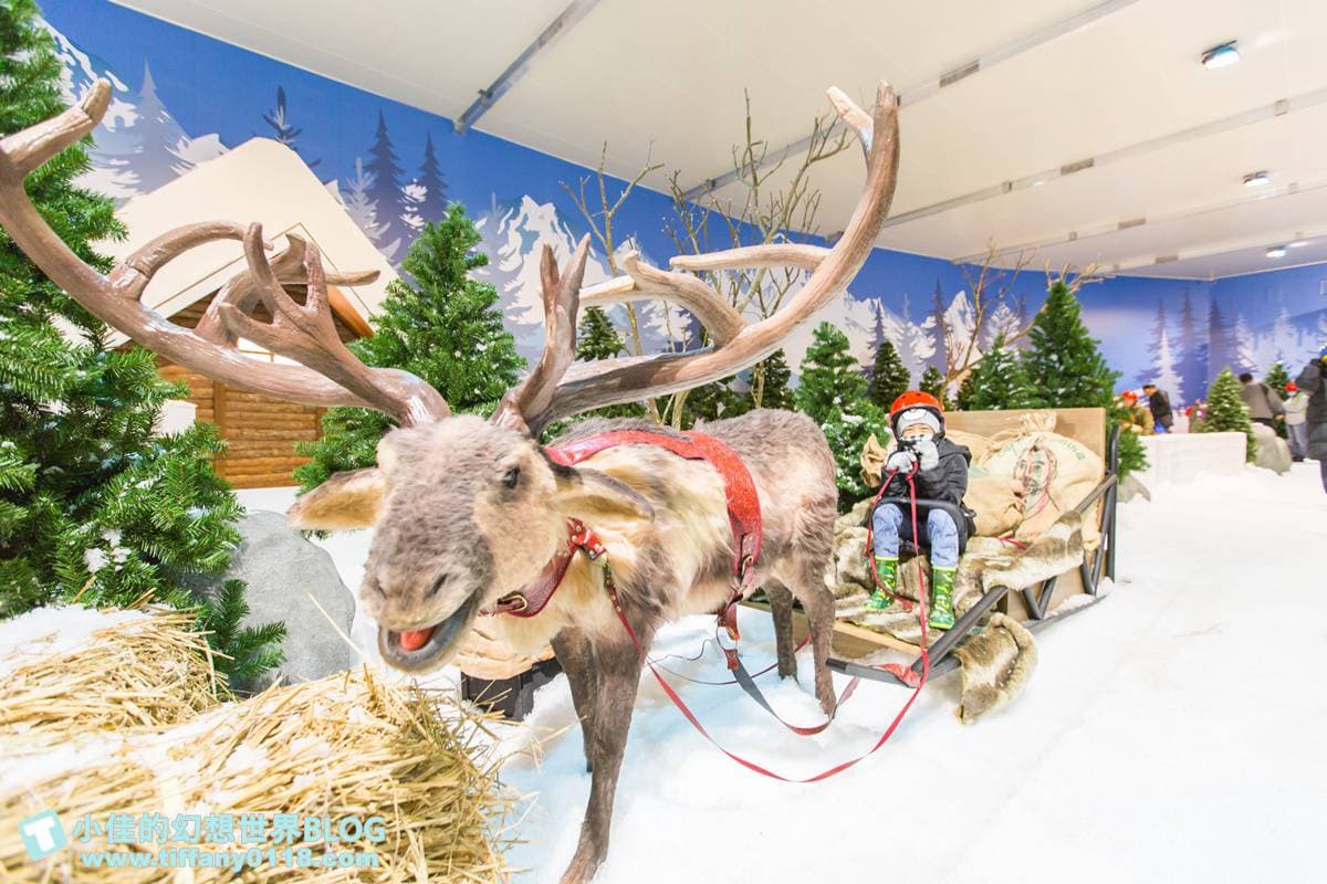 在台灣也能騎雪地越野車！600坪「雪展」免出國玩雪，讓你冷到流鼻水