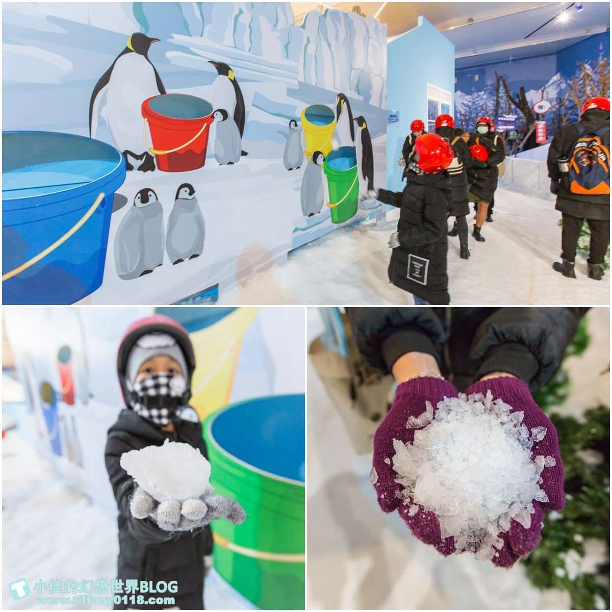 在台灣也能騎雪地越野車！600坪「雪展」免出國玩雪，讓你冷到流鼻水